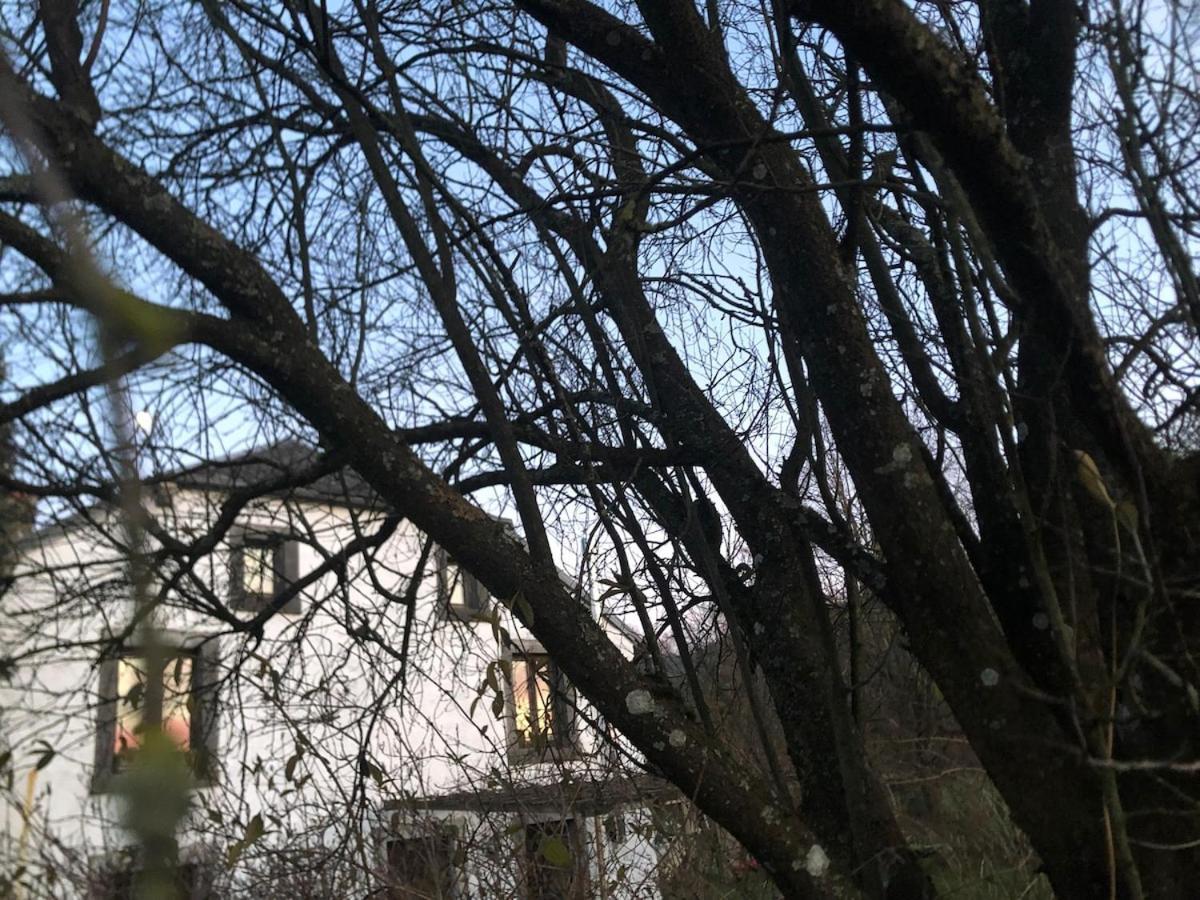 Vila Al Betchou Pire Stoumont Exteriér fotografie